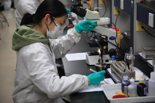 第九屆達承杯醫學檢驗技術專業本科生技能大賽圓滿落幕，技術研發成果顯著