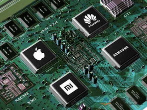 我國(guó)集成電路設(shè)計(jì)迎關(guān)鍵發(fā)展窗口，創(chuàng)新與生態(tài)構(gòu)建成破局核心